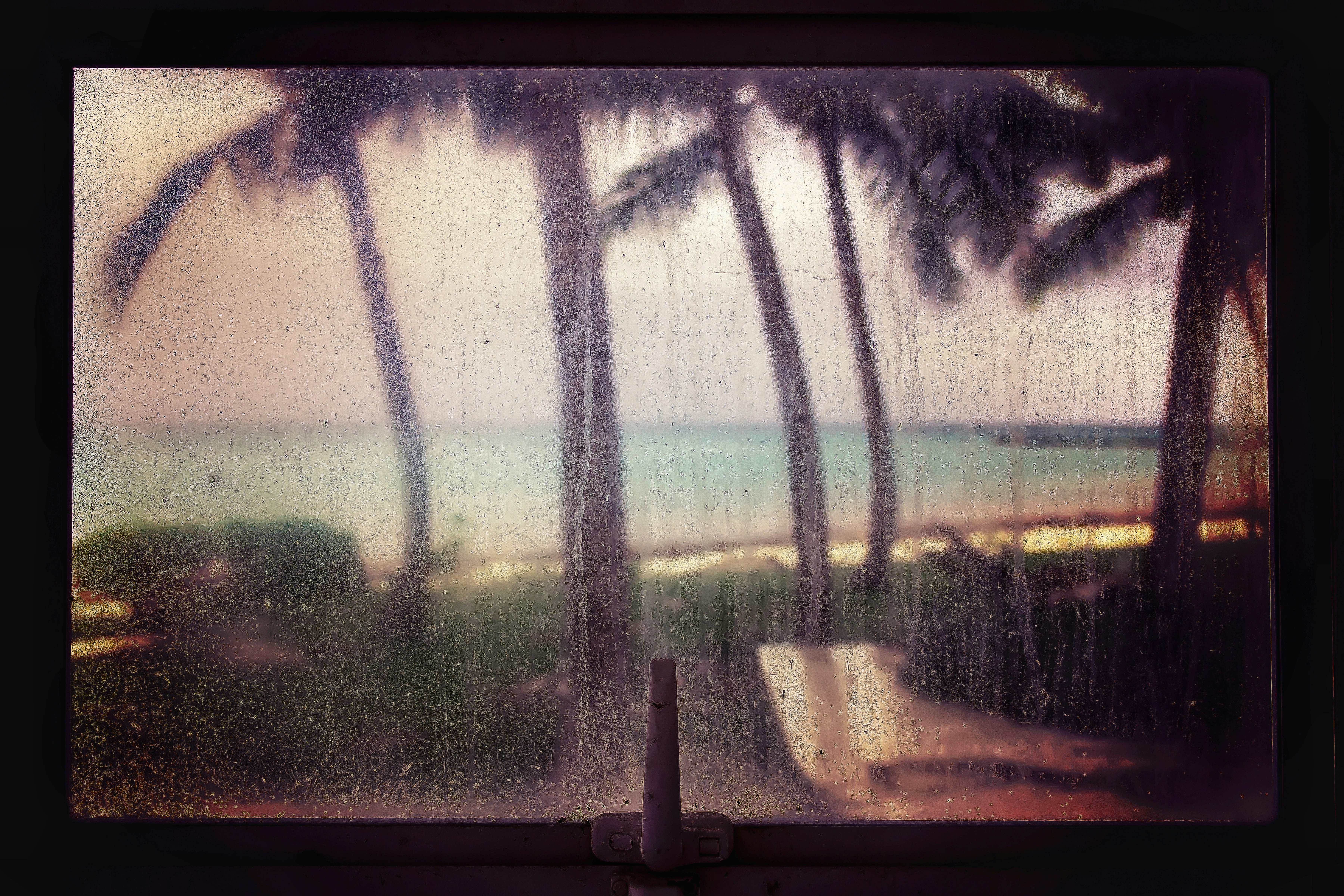 window view of coconut palm trees near sea